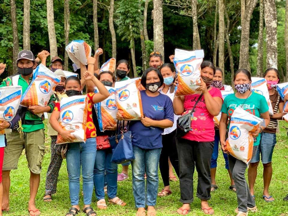 Malaybalay Farmers-Hybrid Corn Seeds